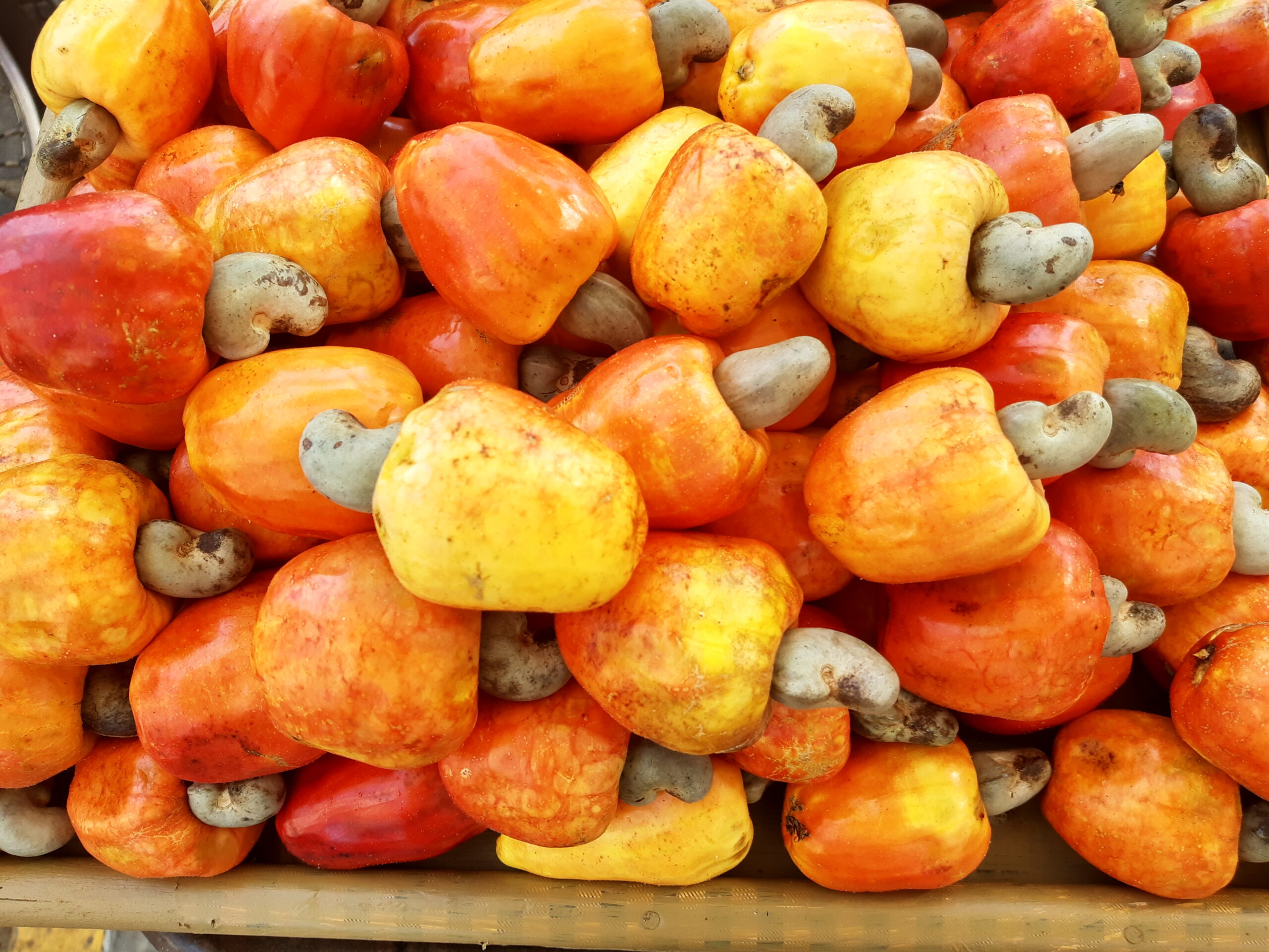 full-frame-shot-oranges-market raw material