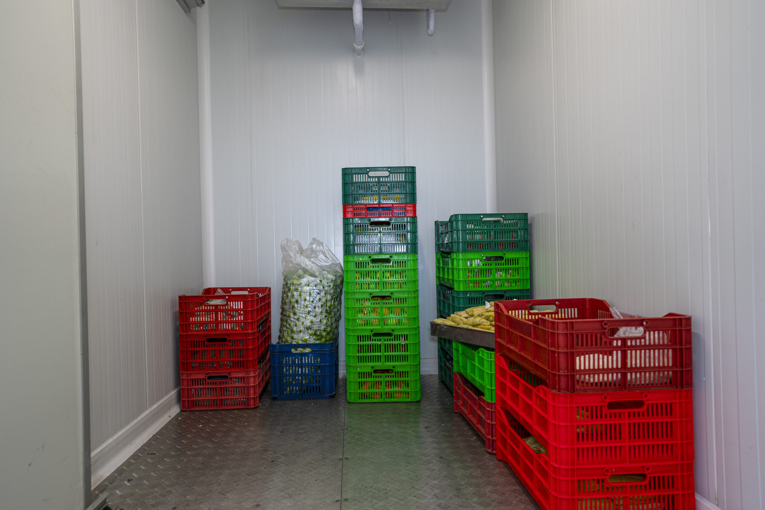 industrial-size-freezer-converting-fresh-food-lemon-chili-tamales industrial-size-freezer-converting-fresh-food-lemon-chili-tamales